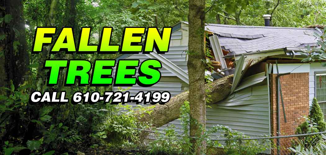 Insurance Claims Adjuster19076 Prospect Park Roof Damage & Fallen Trees 19078 Ridley Park 19079 Sharon Hill 19081 Swarthmore theft vandalism