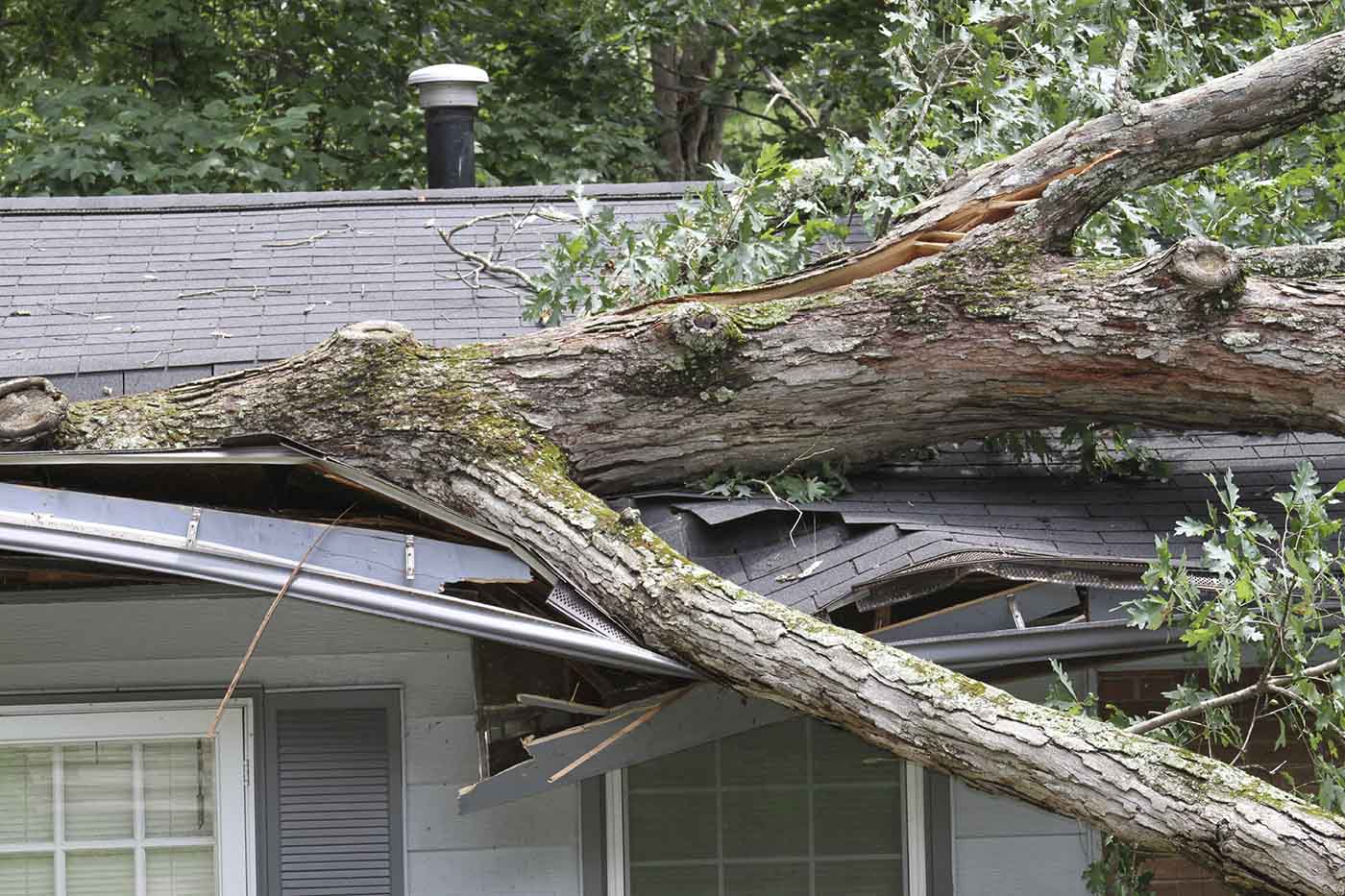 Insurance Claims Adjuster19076 Prospect Park Roof Damage & Fallen Trees 19078 Ridley Park 19079 Sharon Hill 19081 Swarthmore theft vandalism